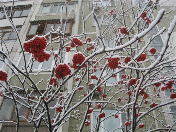 первый снег в Москве